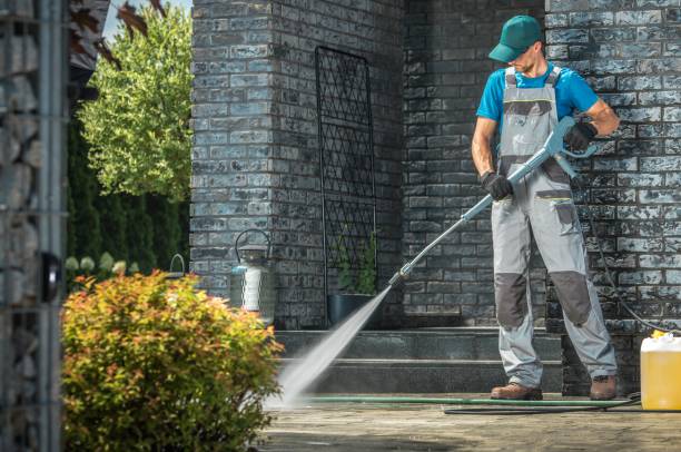 Best Solar Panel Cleaning  in Morris, IL