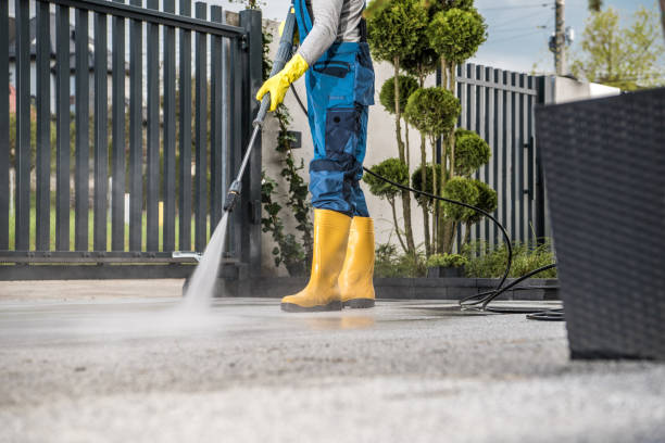 Best Building Exterior Washing  in Morris, IL
